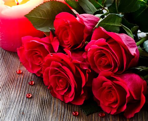 love rose picture|love roses images free.